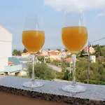 Apartment Ruzica