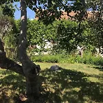 Ruzica Apartment *