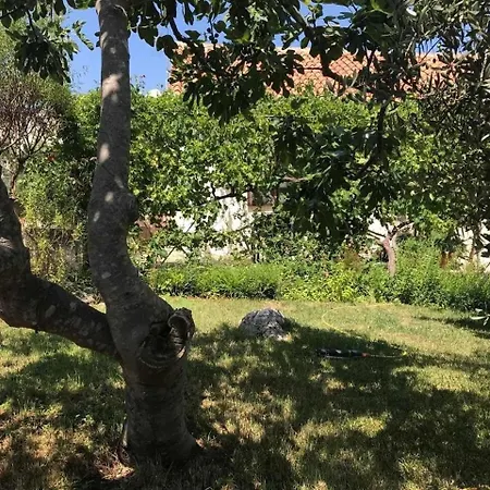 Ruzica Apartmán *